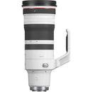 Canon Obiectiv RF 100-300mm f/2.8 L IS USM - cbspro
