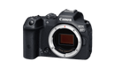 Camera Body Canon EOS R7 Mirrorless Digital - cbspro